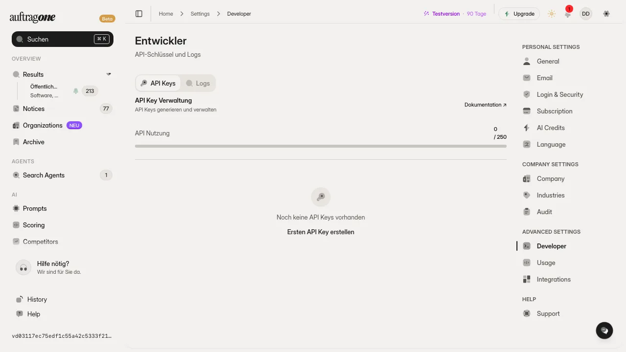 Entwicklereinstellungen mit Registerkarte API Keys, Zähler API Nutzung und Liste der Keys